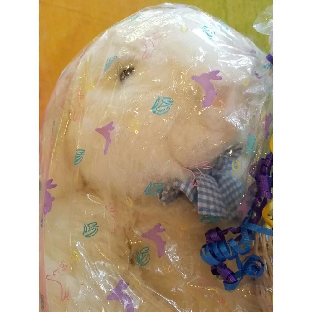 Cuddle 24" Bunny - Picture 5 of 10